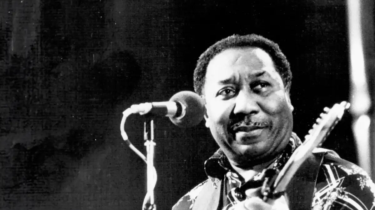 Muddy Waters