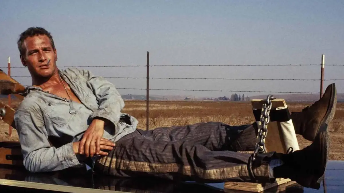 Frajer Luke (Cool Hand Luke - 1967)